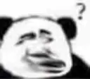 ? panda