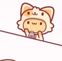 bongo kitten