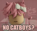 No Catboys?