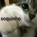 Soquinho