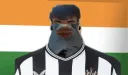 nufcpigeoninindia
