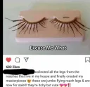 cockroach eyelashes