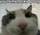 You smell like poop