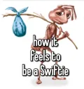 Swiftie