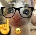 Não ironicamente
