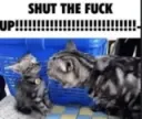 SHUT THE FUCK UP!!!!!!!