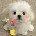 flower from cookie <3