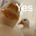 Yes