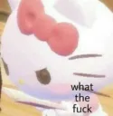 wtf hellokitty