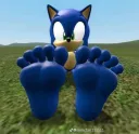 patas de sonic