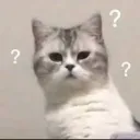 PRXcatconfused | .gg/prixony