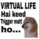 Virtual Life