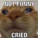 not funny i cried