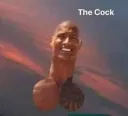 the cock