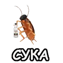 Cyka Roach