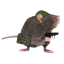 Tarkov Rat