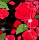 rose [.gg/crave]