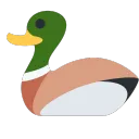 duck