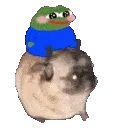 pepeanddogedance