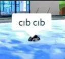 cibcib