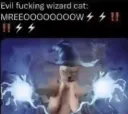 evil fucking wizard cat