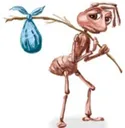 sad ant