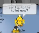 can i go to the toilet?