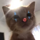 cat clown | .gg/geese