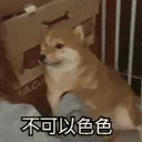 不可以色色