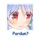 Pardun