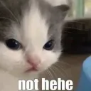 not hehe