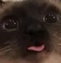 Blep