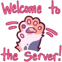 Welcome To The Server Paw Wave