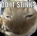do it stink