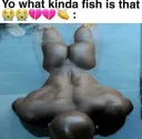 GYAT /gyals