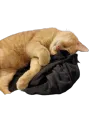 Sleepy Grognak