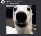oh giddy oh giddy