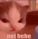 not-hehe