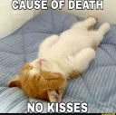 No kisses