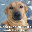 kutto wali baat kardi