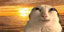 cat sunset /blueemojis