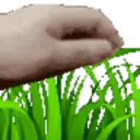 touch grass