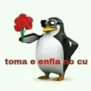 enfia no cukkkk