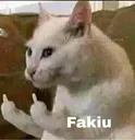 Fakiu