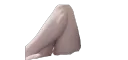 gotlegs?