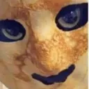 Horrifying pancake cat