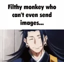 monkeys 