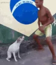 dog dançando