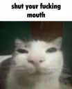 shut your mouth.