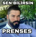 sen bilirsin prenses